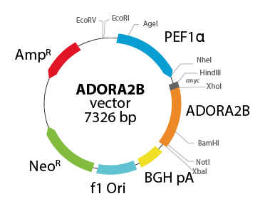 Laboratory Equuipment Manufacturer in Dubai