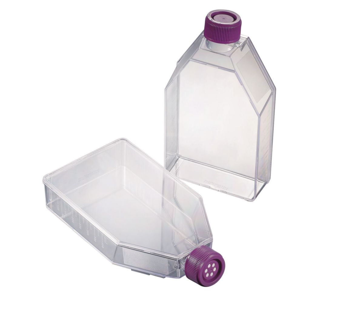 Cell culture flask 50 ml, Treated for Increased Cell Attachment, with plug seal cap