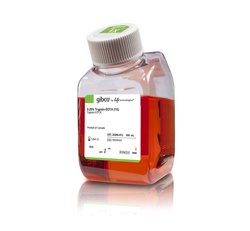 Laboratory Equuipment Manufacturer in Dubai