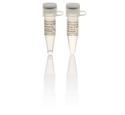 Laboratory Equuipment Manufacturer in Dubai