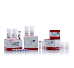 Laboratory Equuipment Manufacturer in Dubai