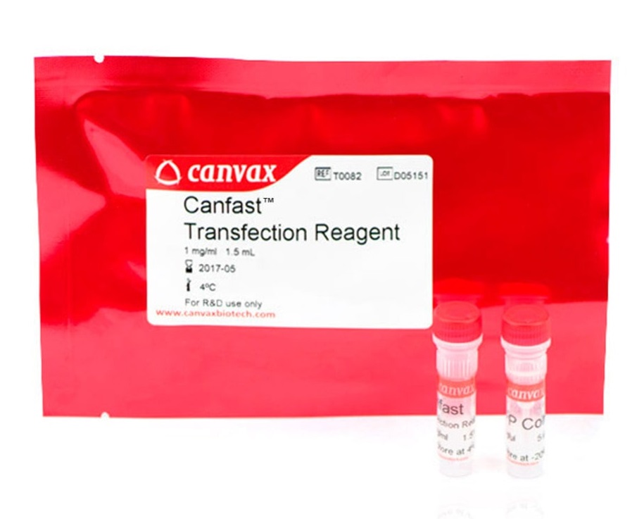 CANFAST™ Transfection Reagent