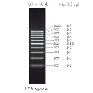 Laboratory Equuipment Manufacturer in Dubai