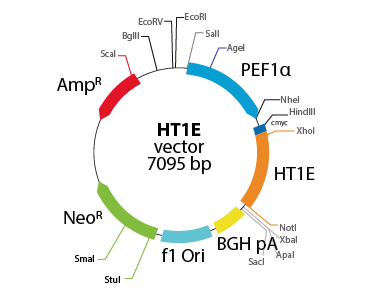 Laboratory Equuipment Manufacturer in Dubai