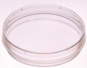 Cell culture dish (3.5 cm), Increased cell attachment treated surface