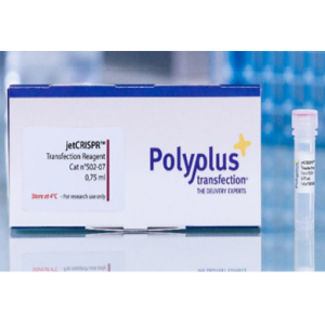 Laboratory Equuipment Manufacturer in Dubai