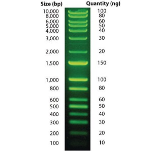 Laboratory Equuipment Manufacturer in Dubai