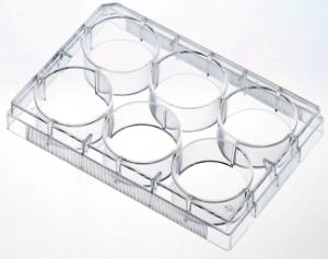 Multiwell cell culture plate (6 well), TC-treated