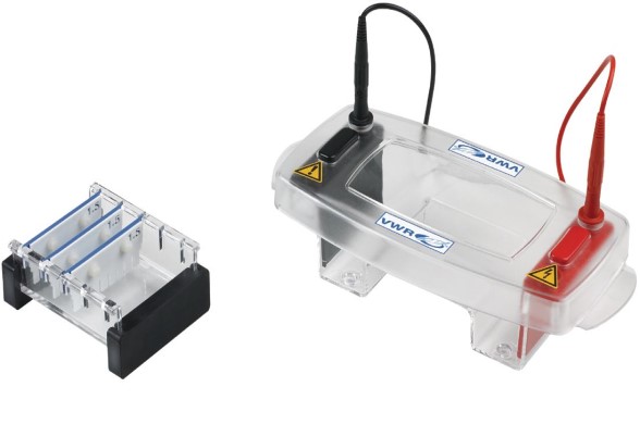 Laboratory Equuipment Manufacturer in Dubai