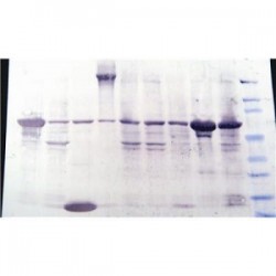 Easy Laboratory Equuipment Suppliers