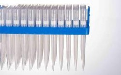 1000ul Universal pipette tips, Sterile, Natural, Dnase/Rnase-free, Non-pyrogenic, with filter