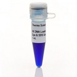 Easy Laboratory Equuipment Suppliers