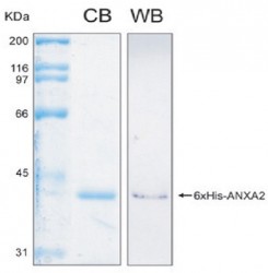 Easy Laboratory Equuipment Suppliers