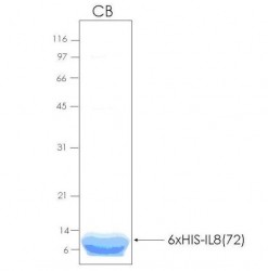 Easy Laboratory Equuipment Suppliers