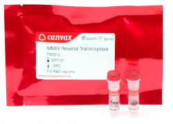 Easy Laboratory Equuipment Suppliers