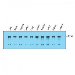 Easy Laboratory Equuipment Suppliers