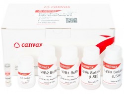 Easy Laboratory Equuipment Suppliers
