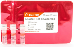 Easy Laboratory Equuipment Suppliers