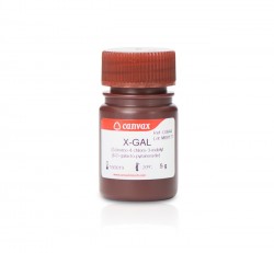 Easy Laboratory Equuipment Suppliers